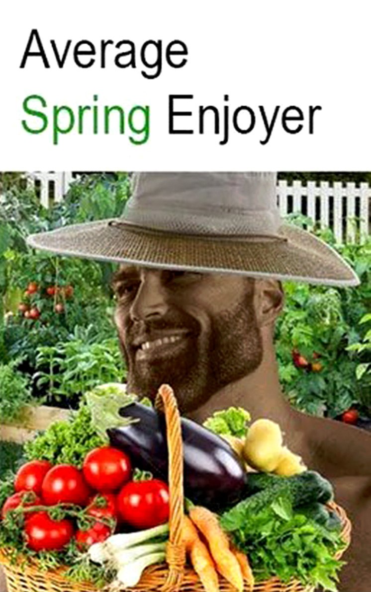 Average Spring Enjoyer Мем Average Spring Enjoyer с GigaChad и корзиной овощей