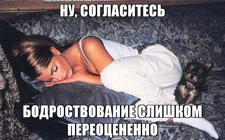 Бодрствование слишком переоцененно Уставшая девушка спит на диване рядом с маленькой собакой, а сверху подпись про переоцененность бодрствования.