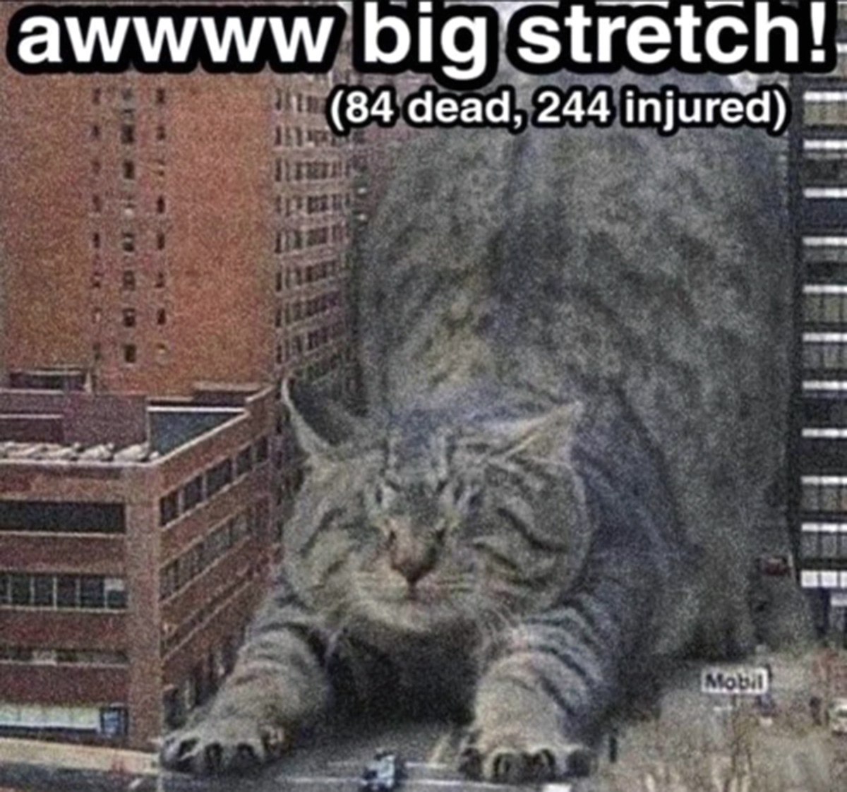 Awwww big stretch Огромный полосатый кот растягивается посреди города, разрушая здания и вызывая жертвы