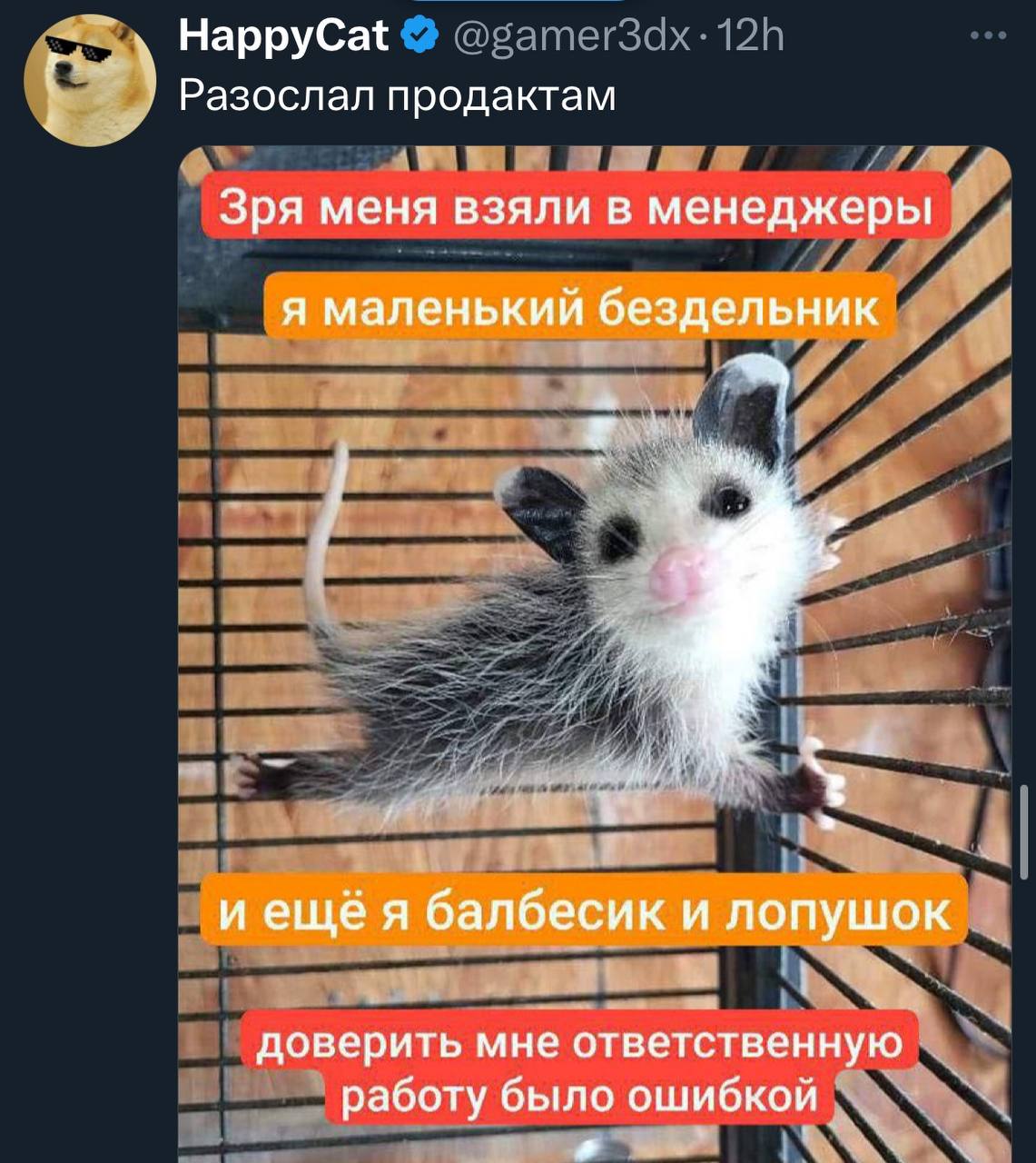 Зря меня взяли в менеджеры Мем с детенышем опоссума и текстом о его некомпетентности на должности менеджера.