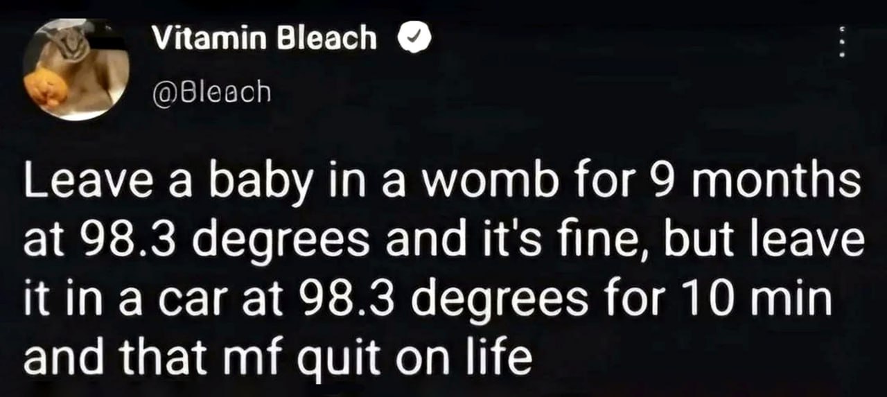 Leave a baby in a womb for 9 months Текст о младенце в утробе матери и в машине в жару