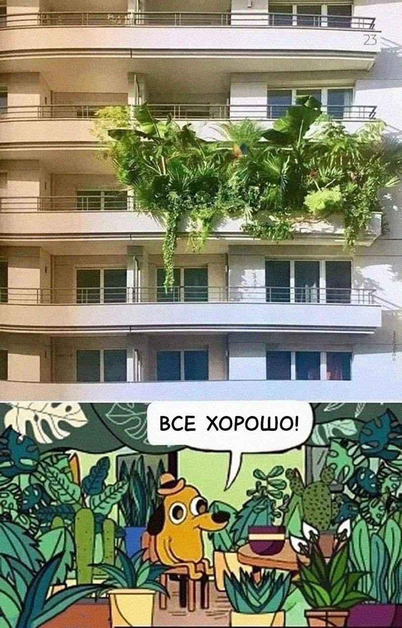 Балкон заросший "Все хорошо" Балкон, заросший растениями, с припиской "Все хорошо" внизу.