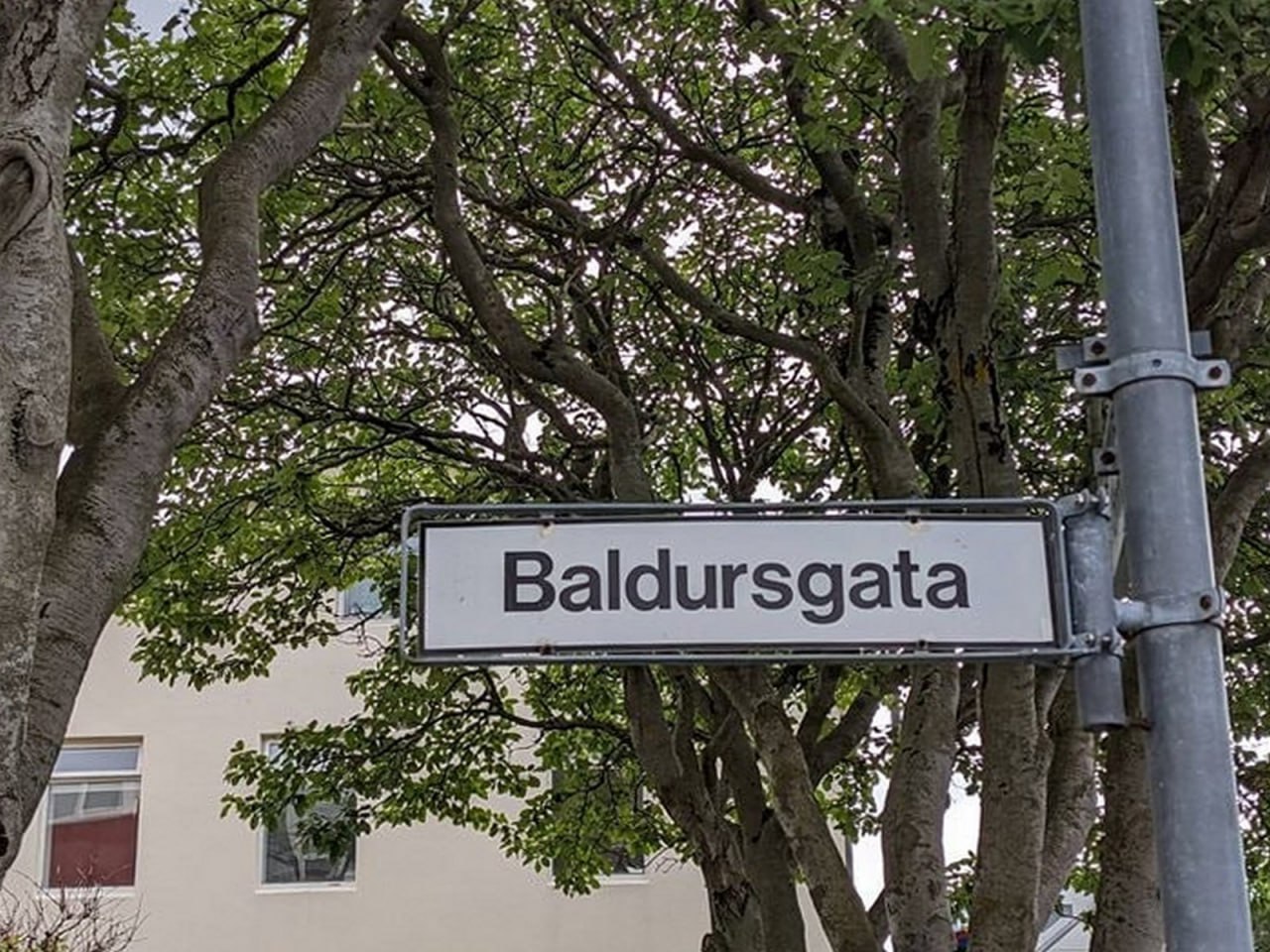 Улица Baldursgata Указатель улицы Baldursgata в Рейкьявике