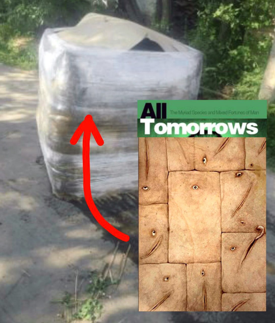 Бочонок и All Tomorrows Упакованный бочонок с отсылкой на All Tomorrows
