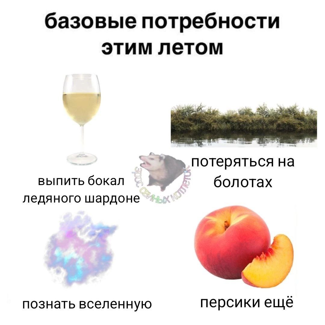 Базовые потребности этим летом Базовые потребности этим летом: выпить шардоне, потеряться на болотах, познать вселенную, персики ещё