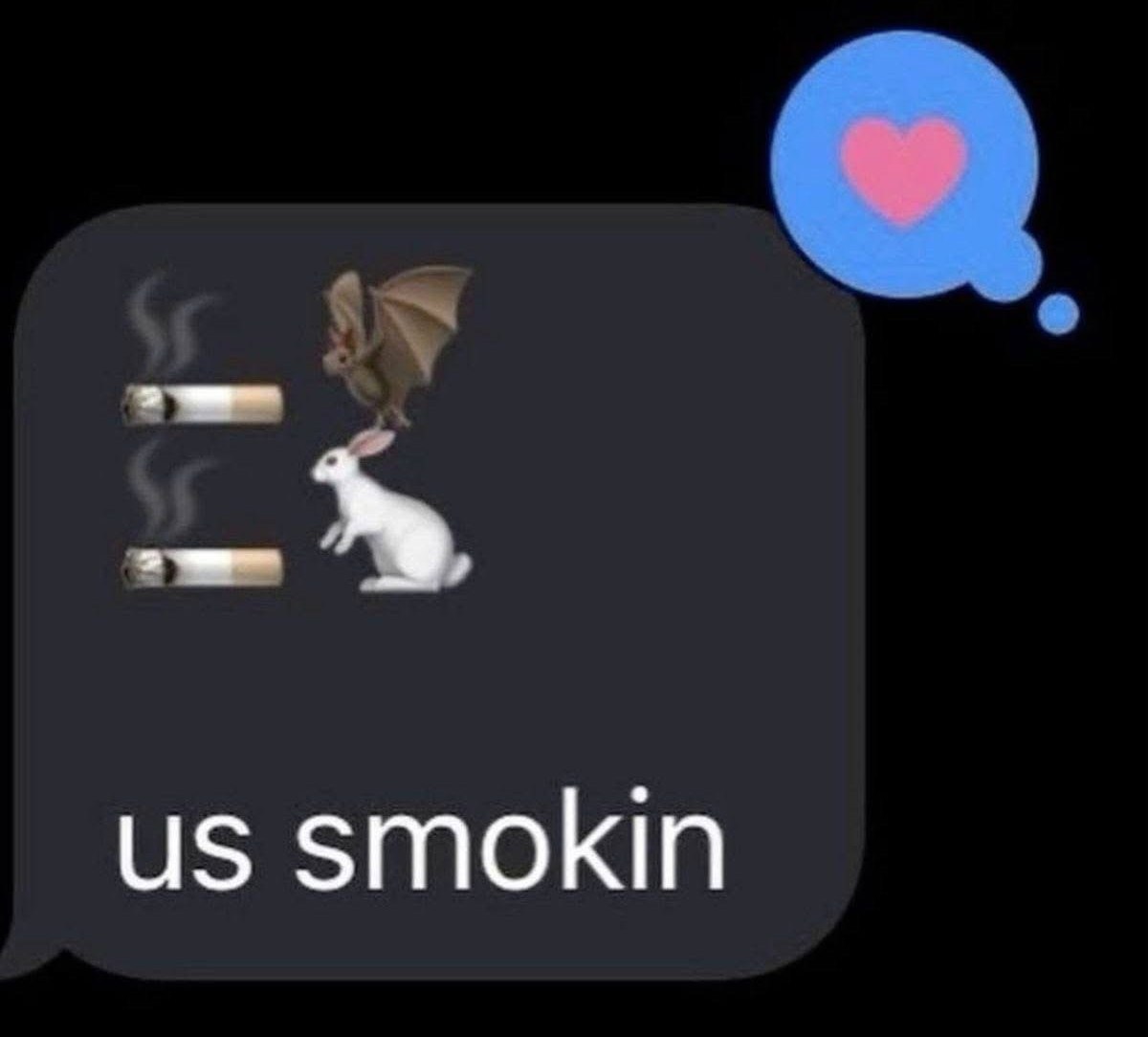 Летучая мышь, кролик и сигареты Скриншот с сообщением «us smokin» и эмодзи летучей мыши, кролика, сигарет и реакцией с сердцем.