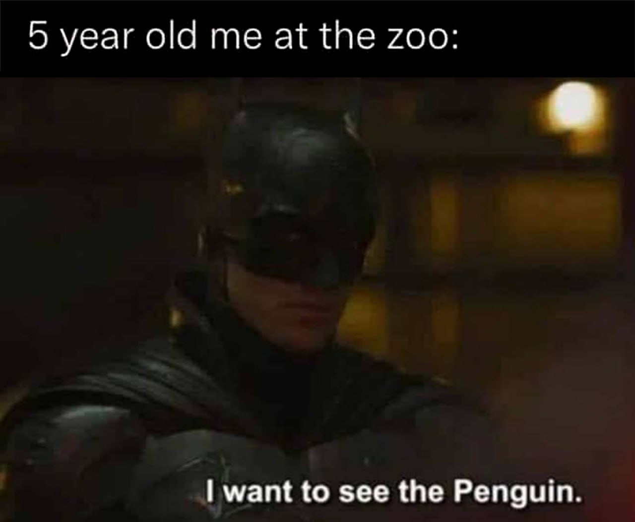 5 year old me at the zoo: I want to see the Penguin Бэтмен "Я хочу увидеть Пингвина"