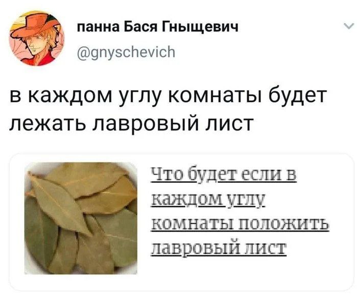 В каждом углу комнаты будет лежать лавровый лист Мем о том, как кто-то говорит, что в каждом углу комнаты будет лежать лавровый лист, и поисковый запрос "Что будет если в каждом углу комнаты положить лавровый лист".