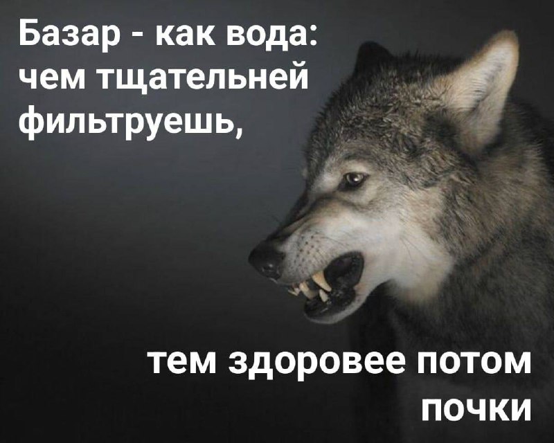 Базар как вода: чем тщательней фильтруешь Мем с волком и цитатой про «базар» и почки, которые нужно фильтровать.