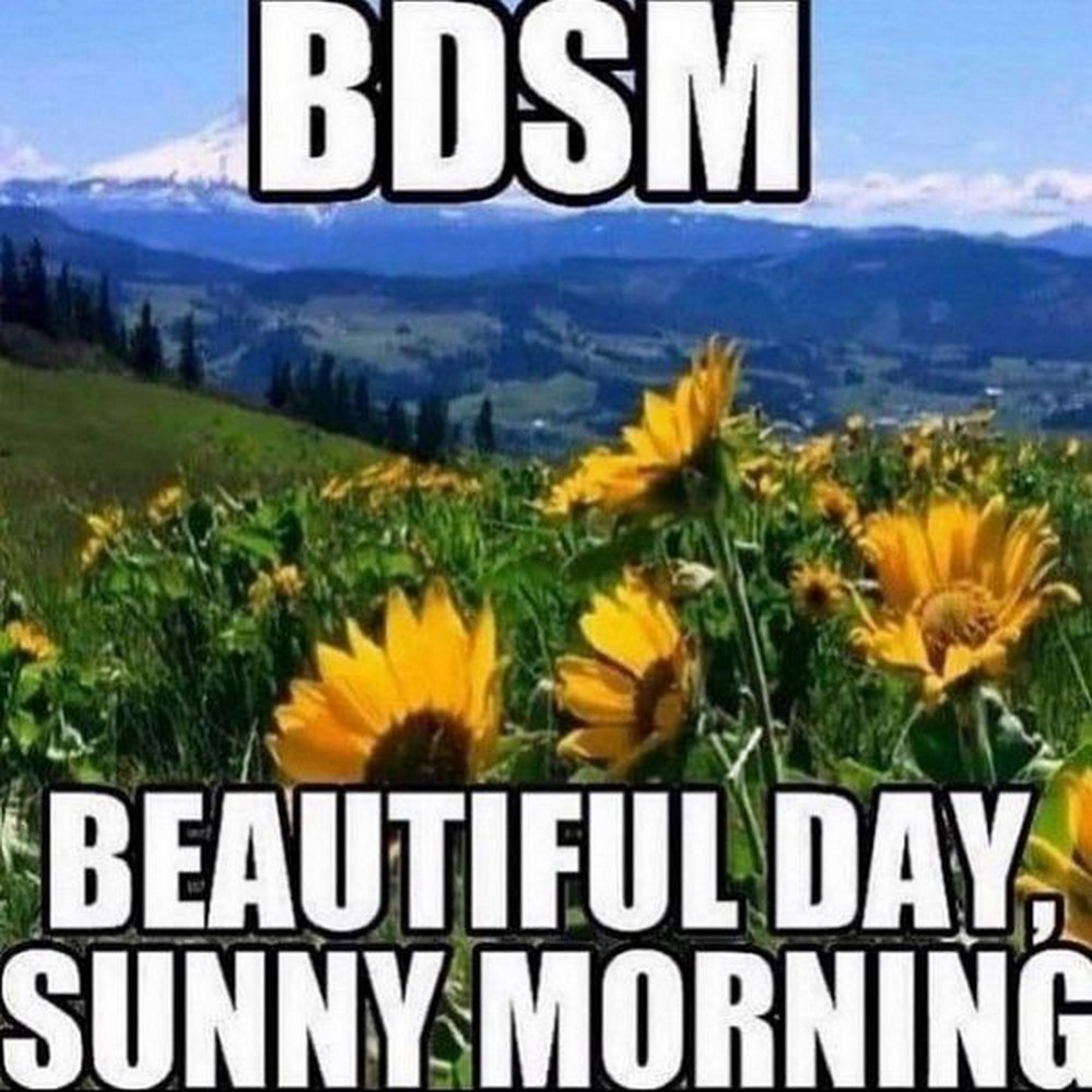 BDSM Beautiful day, sunny morning Мем с расшифровкой аббревиатуры BDSM как "Beautiful day, sunny morning" на фоне пейзажа с цветами и горами