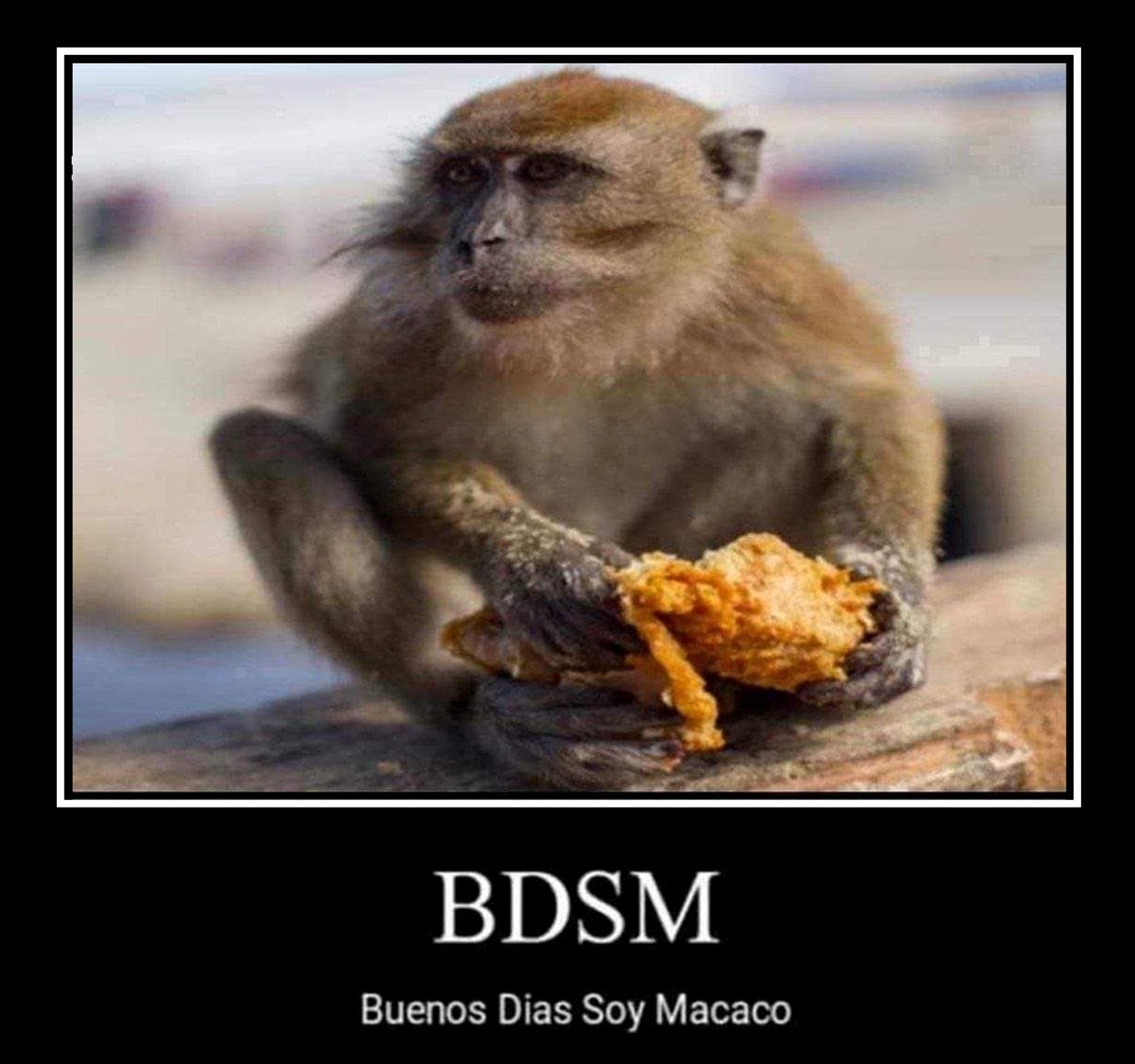BDSM Buenos Dias Soy Macaco Мем с обезьяной, которая ест жареную курицу и шутит про BDSM