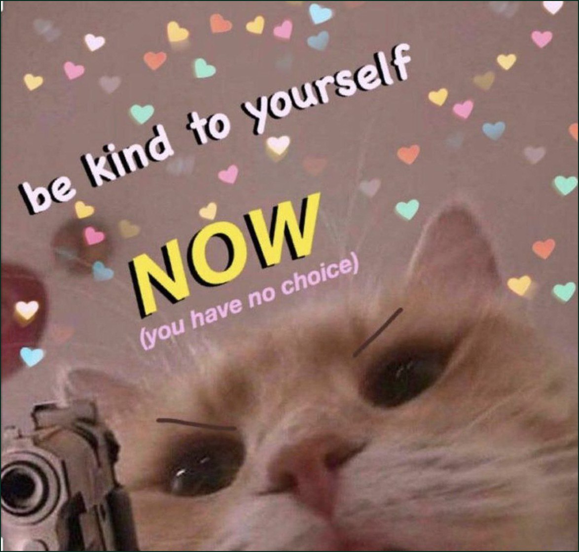 Be kind to yourself NOW (you have no choice) Кот с пистолетом говорит "будь добр к себе сейчас"
