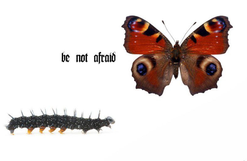 Мем be not afraid Мем с гусеницей и бабочкой и надписью "be not afraid"