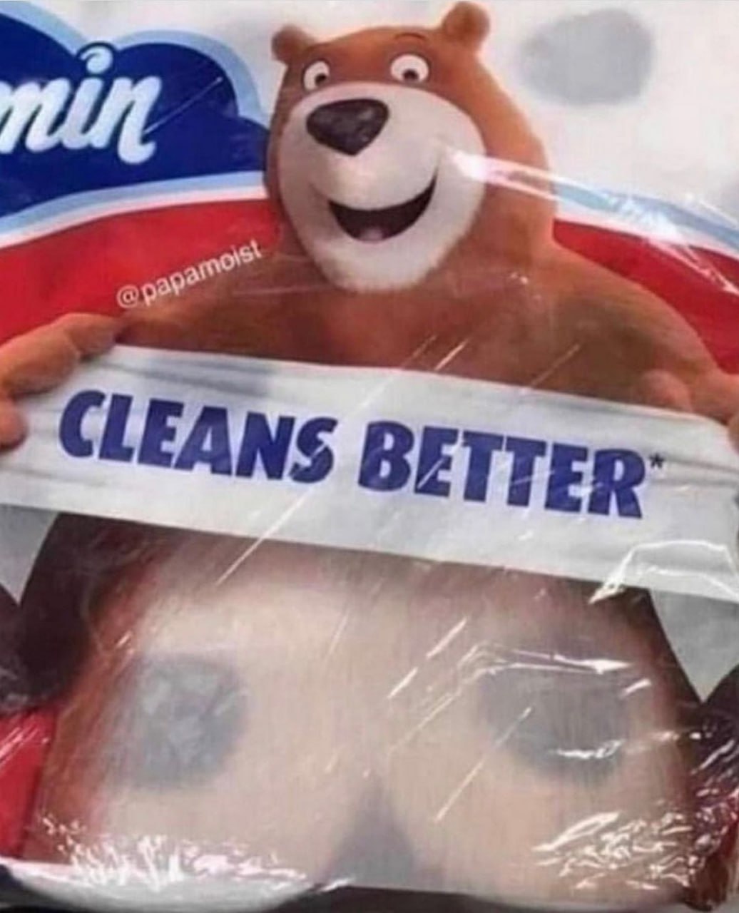 Медведь Cleans Better Медведь на упаковке бумажных полотенец, держащий надпись «CLEANS BETTER», которая из-за оптической иллюзии кажется двусмысленной.