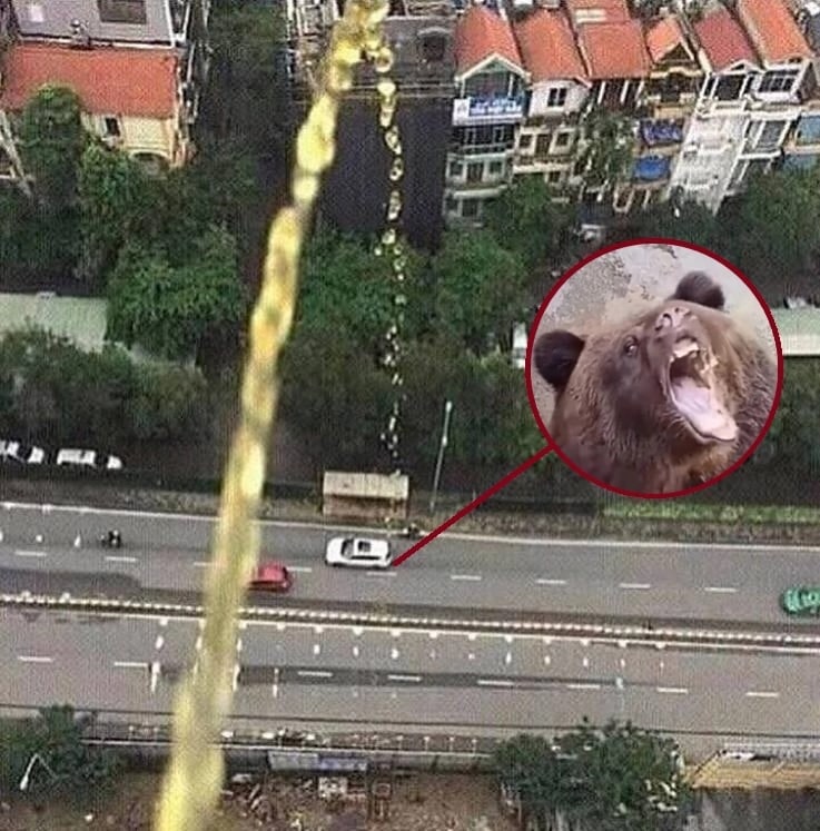 Медведь пьет с неба Медведь, пьющий желтую жидкость с неба