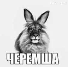 Зверь черемша Гибрид льва и кролика черемша
