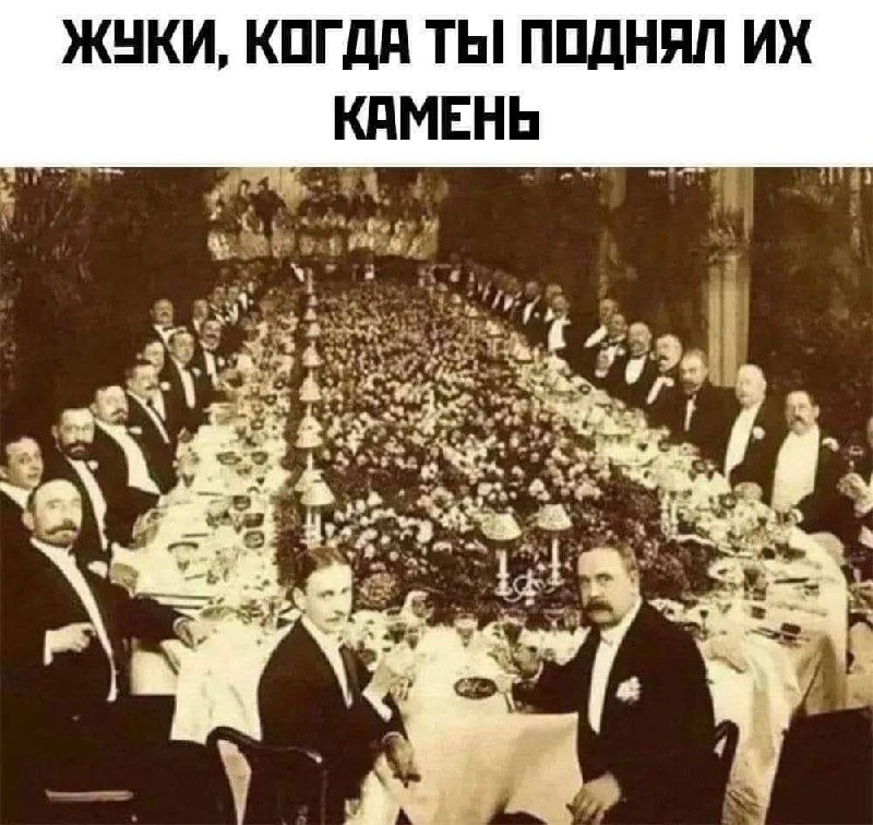 Жуки, когда поднял их камень Жуки под камнем, старинное фото