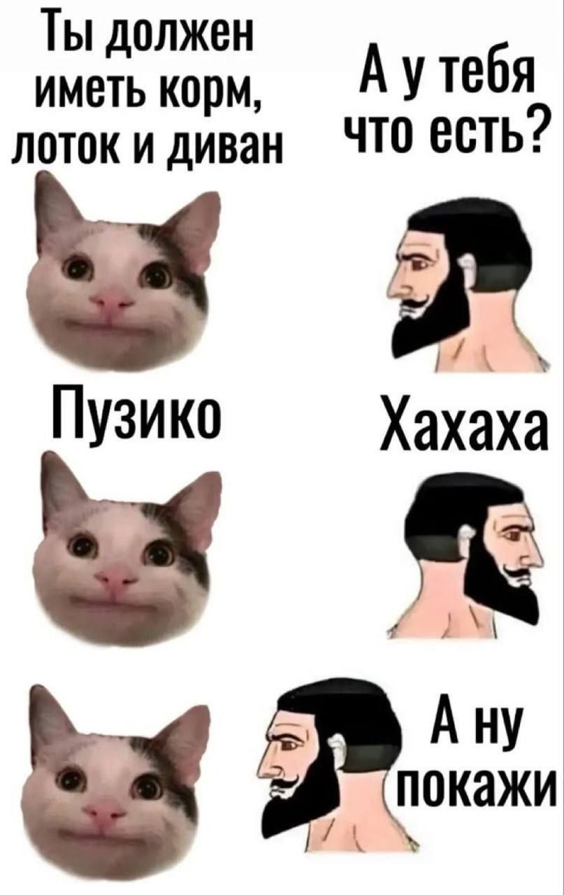 Кот Белуга и гигачад: Пузико Мем с котом Белугой и гигачадом, где кот показывает свое пузико.