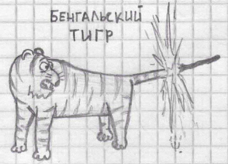 Бенгальский тигр с колючим хвостом Смешной рисунок бенгальского тигра, хвост которого воткнулся в колючку