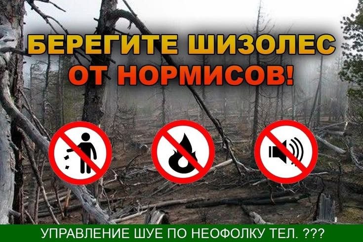 Мрачный лес с запрещающими знаками и надписью «Берегите шизолес от нормисов!»
