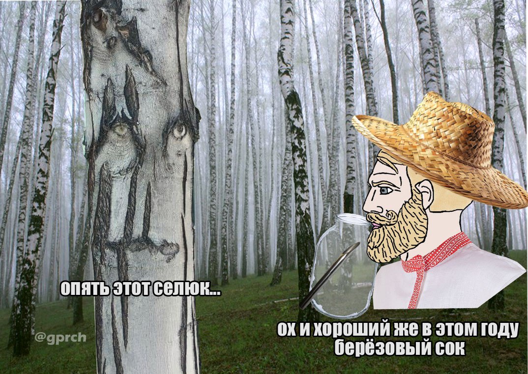 Мем с березой, которая недовольна тем, что мужчина собирает березовый сок, а паряга наслаждается хорошим березовым соком.