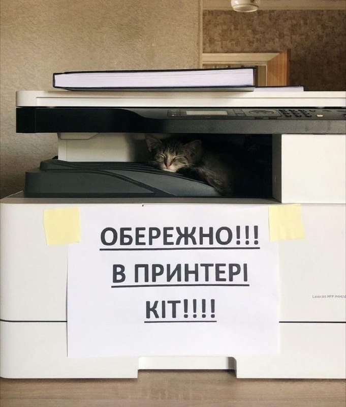 Обережно! В принтері кіт!!!! Котёнок спит в лотке принтера, на котором висит предупреждение «Обережно! В принтері кіт!!!!».