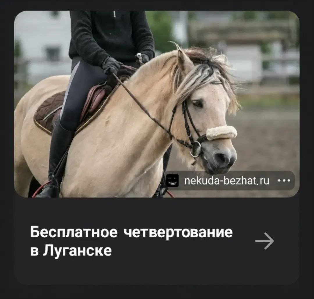 Лошадь с всадником и надписью «Бесплатное четвертование в Луганске» в формате рекламной карточки