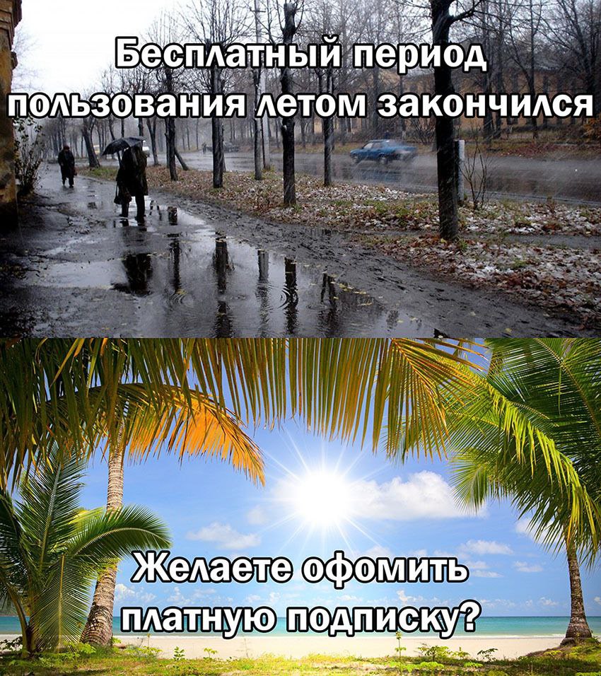 Бесплатный период пользования летом закончился Мем про окончание бесплатного периода лета и предложение оформить платную подписку