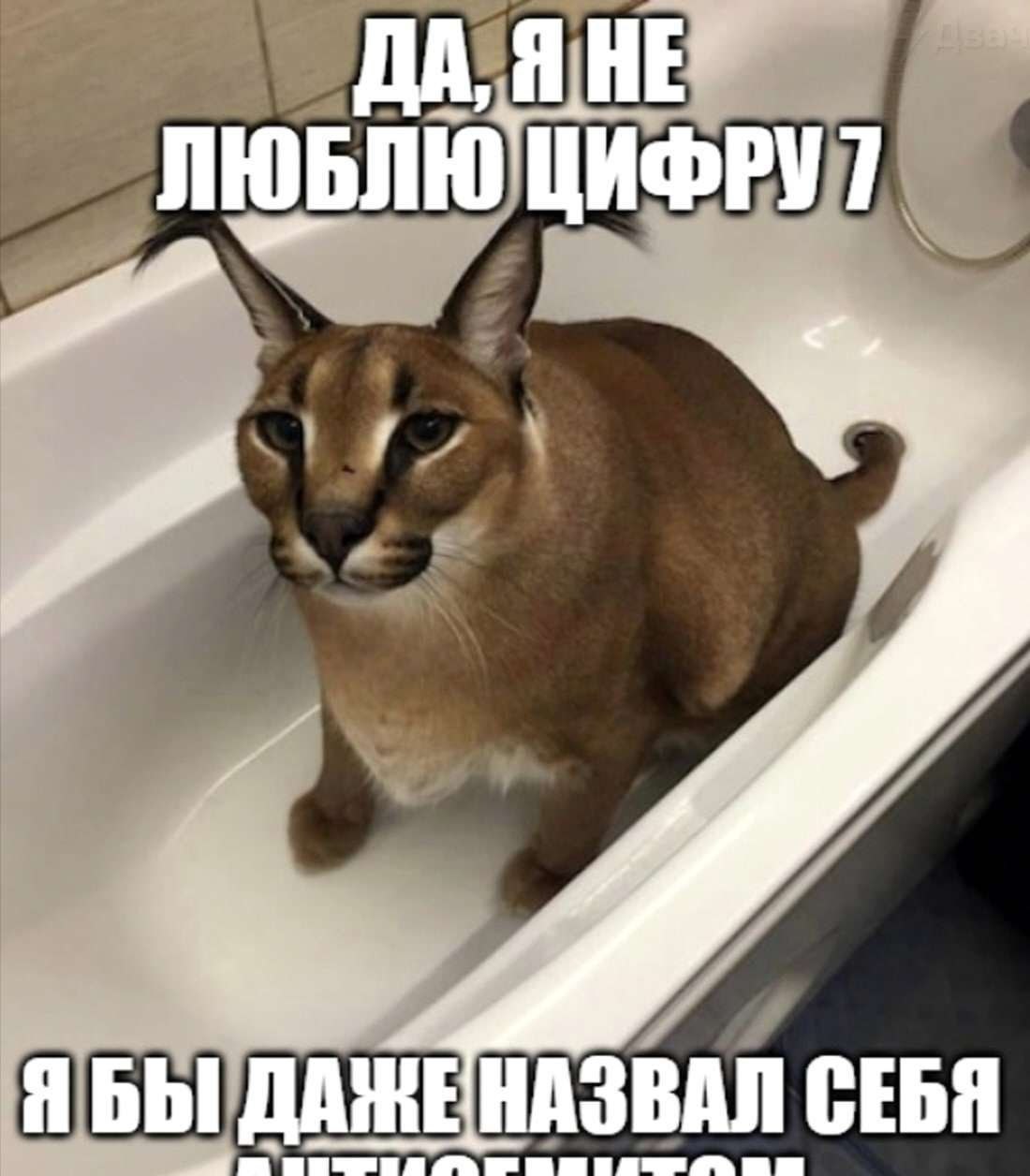 Большой флоппа ненавидит число 7 Большой флоппа сидит в ванне и говорит, что не любит число 7, называя себя антисемитом.