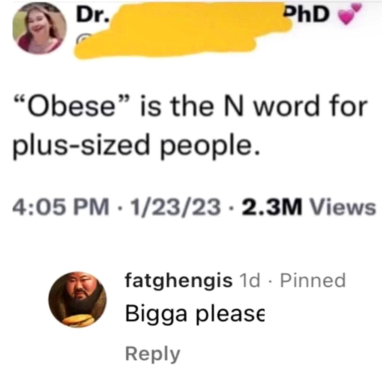 Bigga please Комментарий к твиту о слове «obese», которое является оскорблением для полных людей, со словами «Bigga please»