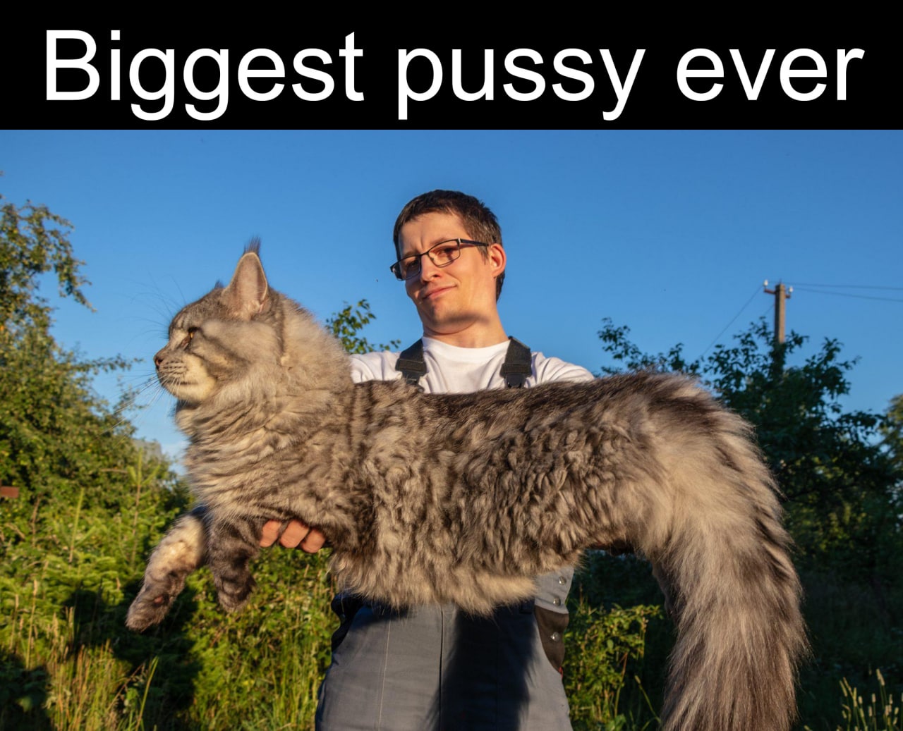 Biggest pussy ever Мужчина держит на руках очень большого пушистого кота, порода мейн-кун