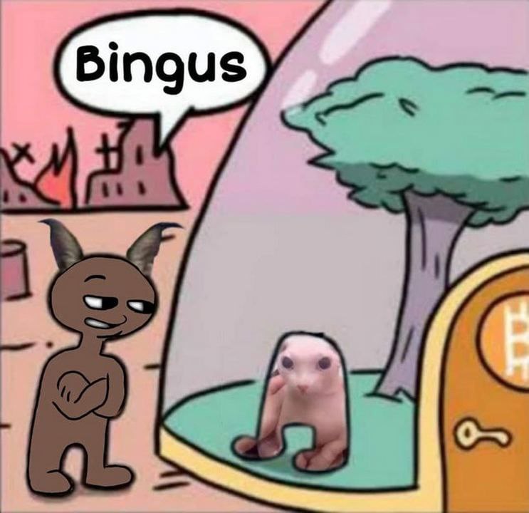 Бингус кот из Among Us Мем с Бингусом, где коричневое существо из Among Us смотрит на бесшерстного кота внутри капсулы