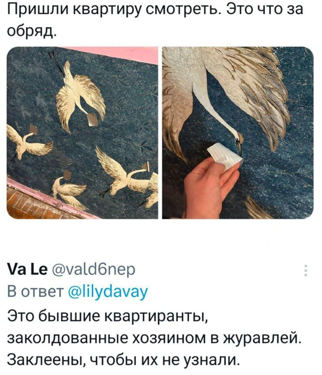 Пришли квартиру смотреть. Это что за обряд Обои с птицами и загадочными наклейками