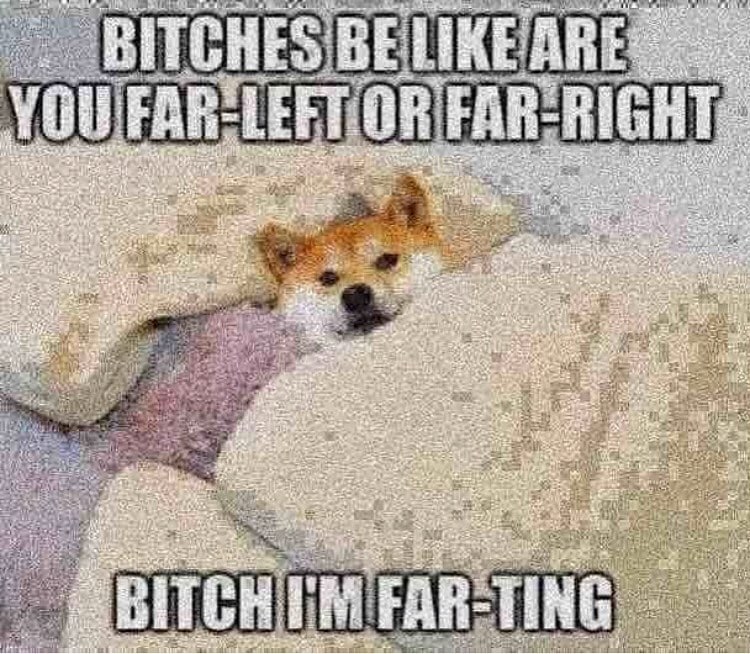 Bitch I'm far-ting Мем с собакой Шиба-ину, зарытой в одеяла, с надписью «Bitches be like are you far-left or far-right. Bitch I'm far-ting».