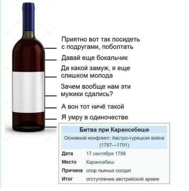 Битва при Карансебеше и бутылка вина Битва при Карансебеше и бутылка вина, меняющая настроение