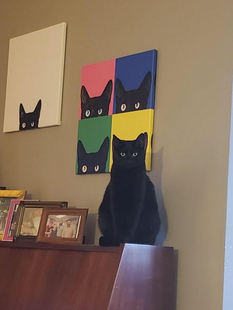Черная кошка и картины с котами Черная кошка сидит на комоде, а на стене висят картины с нарисованными кошачьими мордочками. Одна из картин - белая, на ней нарисована только нижняя часть мордочки черной кошки. Вторая картина поделена на четыре квадрата разных цветов: розовый, синий, зеленый и желтый. В каждом квадрате изображена верхняя часть мордочки черной кошки с ушками и глазами, нос и рот скрыты за краем картины. Живая кошка смотрит прямо на зрителя, ее глаза широко открыты, а уши торчат вверх.