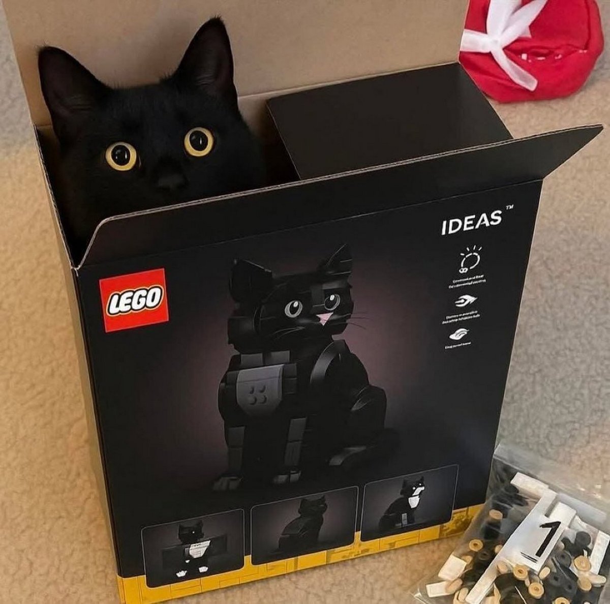 Черный кот в коробке из-под LEGO Мем с черным котом, выглядывающим из коробки от конструктора LEGO с фигуркой черного кота на упаковке