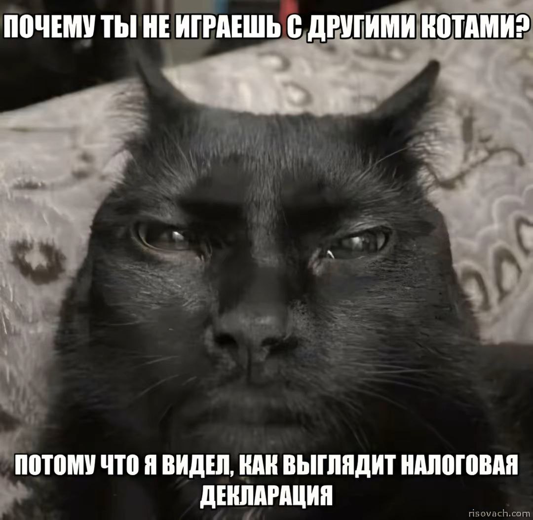 Черный кот про налоговую декларацию Уставший или недовольный черный кот, который не хочет играть с другими котами, потому что видел, как выглядит налоговая декларация.