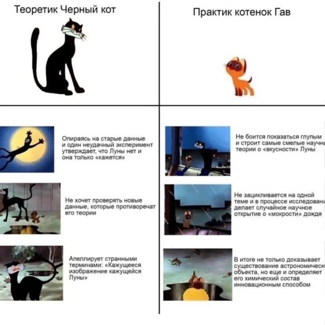 Теоретик Черный кот и Практик котенок Гав Мем "Теоретик Черный кот" и "Практик котенок Гав"