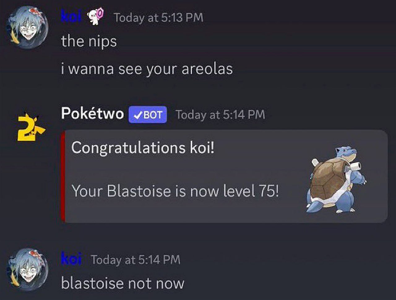Blastoise not now Переписка в Discord, где пользователь получает уведомление от бота Pokétwo о повышении уровня Бластоиса, отвечая «Blastoise not now» на свой предыдущий запрос.
