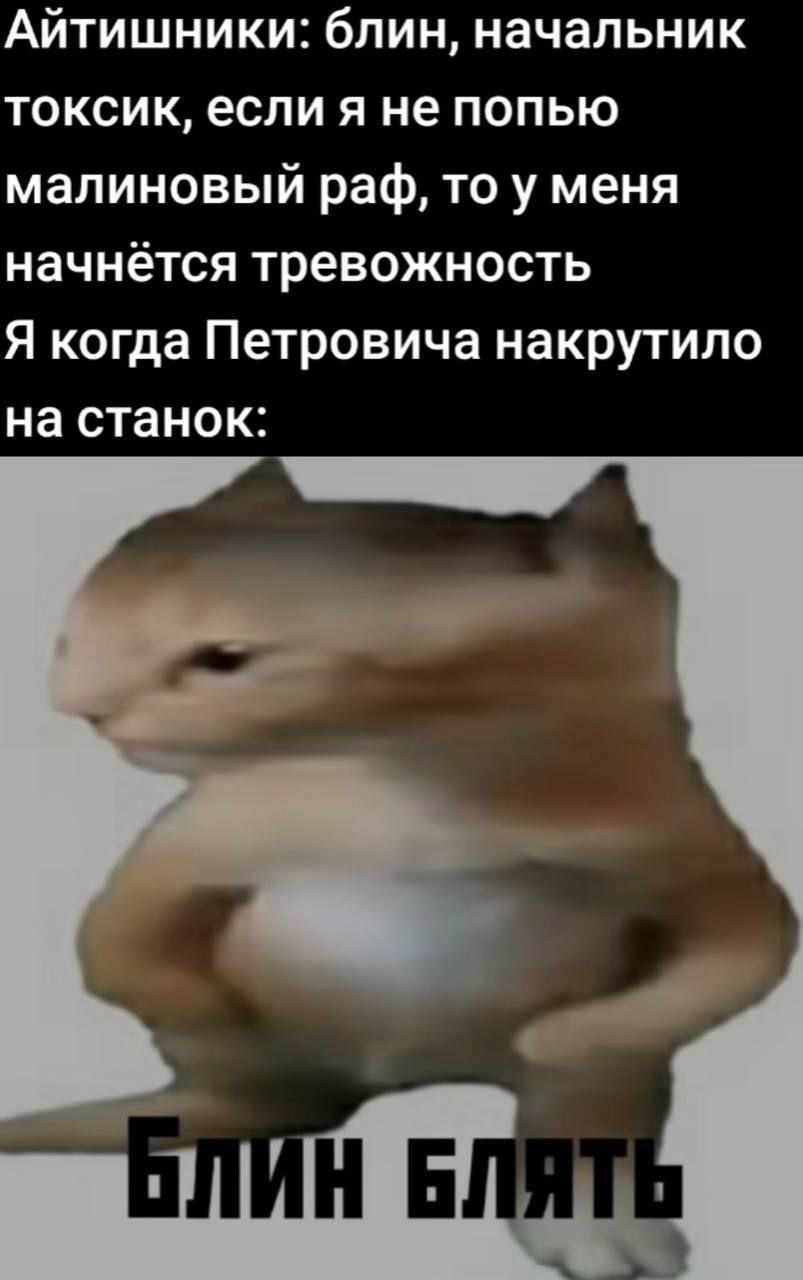Блин блять Мем с котом по кличке Блин и надписью «Блин блять»