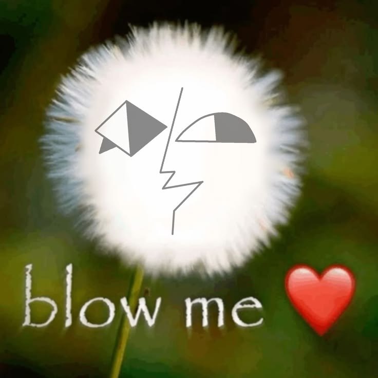 Пушистый одуванчик со стилизованным лицом, подписью «Blow me» и красным сердцем.