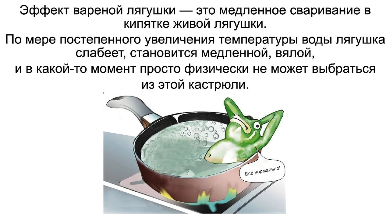 Эффект вареной лягушки Всё нормально Лягушка в кастрюле с кипящей водой и надписью "Всё нормально!"