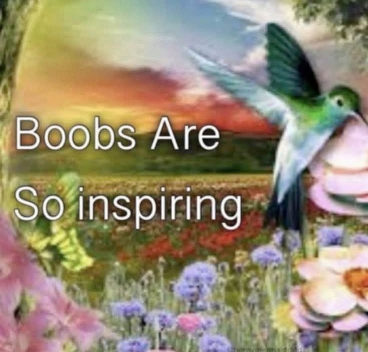 Boobs are so inspiring Мем с фразой «Boobs are so inspiring» на фоне пейзажа с колибри и цветами, созданный в стиле «одноклассников».