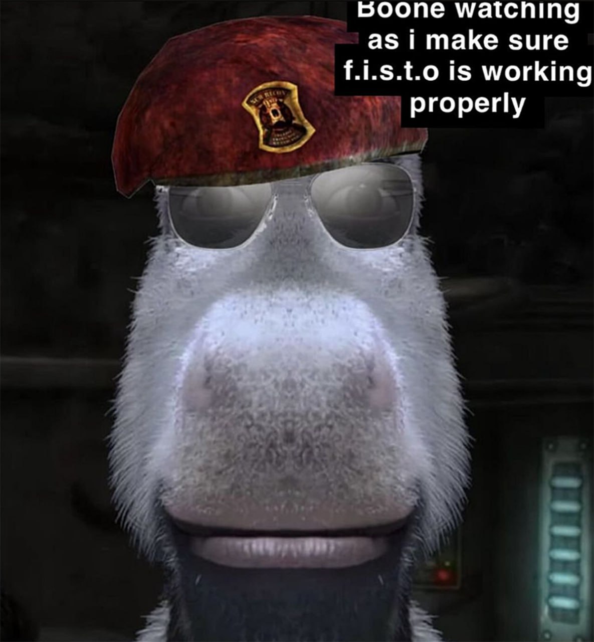 Boone watching as i make sure f.i.s.t.o is working properly Осел в берете и очках с текстом Boone watching as i make sure f.i.s.t.o is working properly