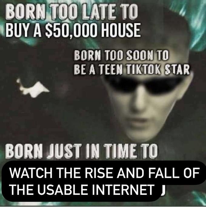 Born just in time to watch the rise and fall of the usable internet Мем про расцвет и падение удобного интернета