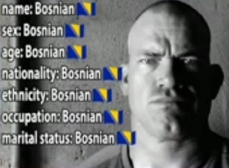 Босниец на все 100 Мужчина на черно-белом фоне с текстом «Bosnian» и флагом Боснии и Герцеговины у каждого пункта опроса.