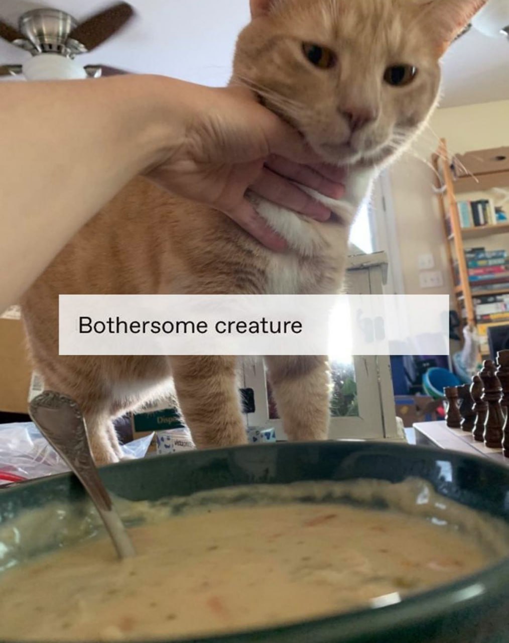 Bothersome creature Надоедливое существо