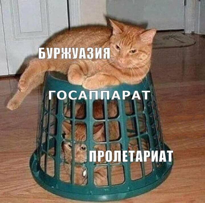 Буржуазия лежит на госаппарате, под ним пролетариат Рыжий кот по кличке «Буржуазия» лежит на перевернутой корзине, символизирующей «Госаппарат», а внутри корзины сидит кот «Пролетариат»