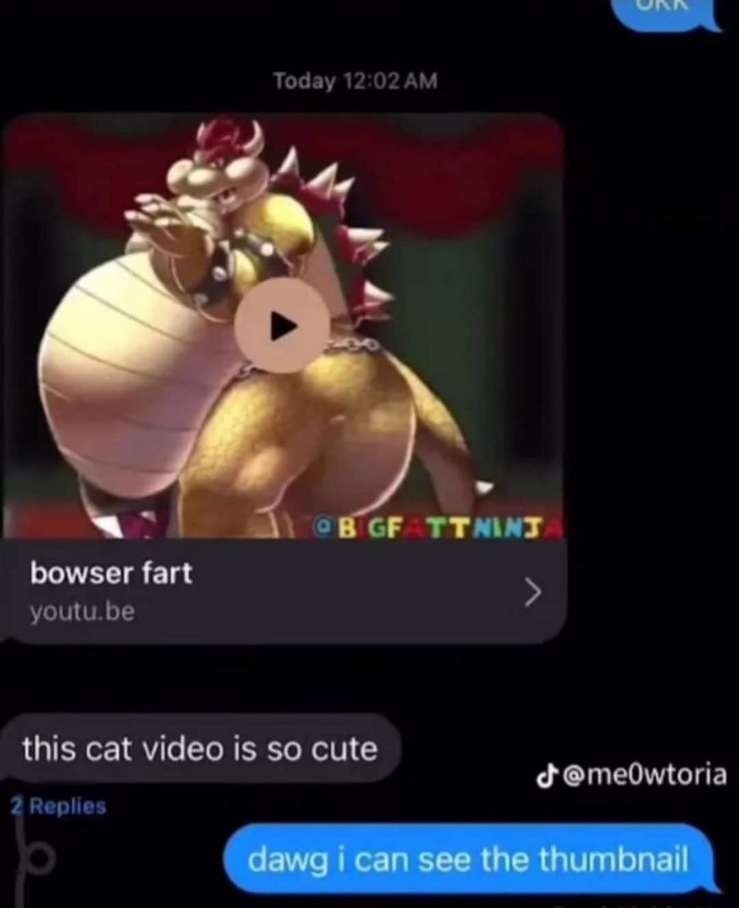 Bowser fart (this cat video is so cute) Мем про то, как человек пытается выдать видео с Баузером за «милое видео с кошкой», но его собеседник видит миниатюру.